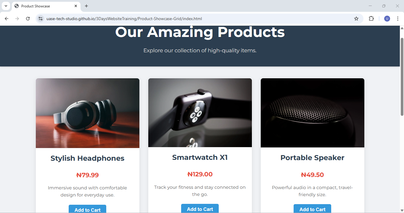 Project 3 Screenshot: Product Showcase Grid
